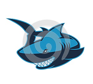 Shark logo mascot