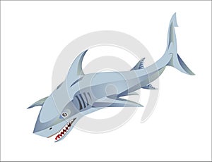 SHARK LOGO OF SHARK FISH PREDATOR