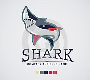 Shark logo sport extreme and business.