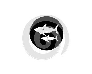 Shark Logo Template