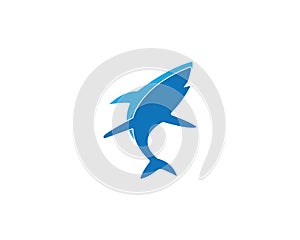 Shark Logo Template