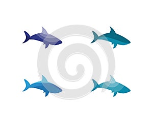 Shark Logo Template and design vector fish wild sea animal