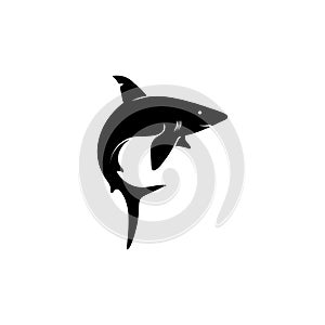 Shark Logo Template and design vector fish wild sea animal