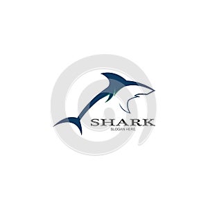 Shark Logo vector Template