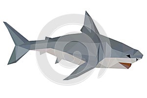 Shark, low poly, geometric, animal, vector, isolated, polygonal, design, illustration, sea, predator, body, zoo, fish, hunt, kille