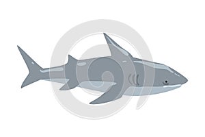 Shark Marine Predator Fish Animal Cartoon Vector Illustration