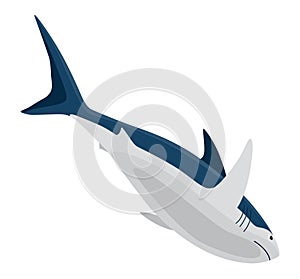 Shark. Marine predator fish character. Underwater wildlife or ocean animal. Cartoon flat isolated icon on white