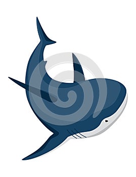 Shark. Marine predator fish character. Underwater wildlife or ocean animal. Cartoon flat isolated icon on white