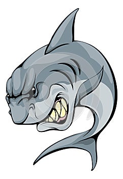 Shark mascot character
