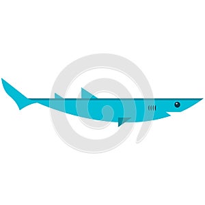 Shark ocean fish flat vector icon isolated on white