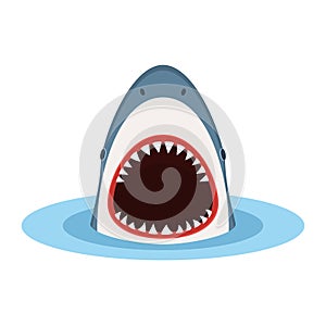 Shark with open mouth