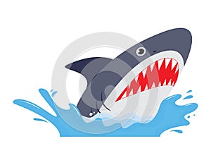 Shark with open mouth and sharp teeth