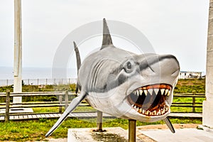 shark, photo as a background , in playa del silencio , silent beach, principado de asturias, spain europe photo
