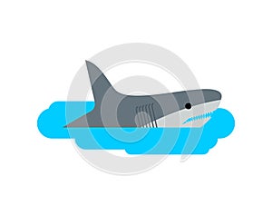 Shark in puddle. Marine predator in small plash