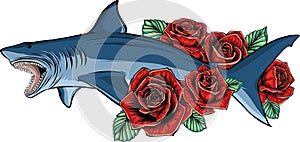 shark with red rose flower vector illustration