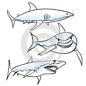 Shark set, vector hand drawn isolated illustration. Cartoon style.