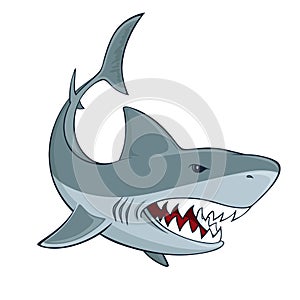 Shark sign