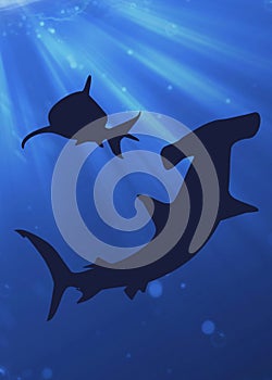 shark silhouette, can be used for background and symbols in posters or campaigns