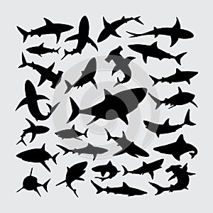 Shark silhouette. a set of shark silhouettes