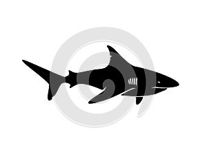 Shark Silhouette Vector
