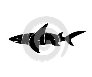 Shark Silhoutte Typography