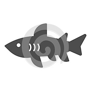 Shark solid icon, marine concept, danger predatory fish sign on white background, Shark silhouette icon in glyph style