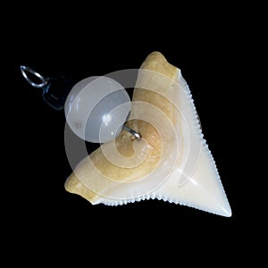 Shark tooth jewelry on a black background.