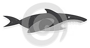 Shark vector