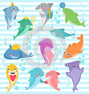 Shark vector cartoon seafish smiling with sharp teeth illustration set of fishery character of friend with gift on happy