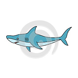 Shark vector icon.Color vector icon isolated on white background shark
