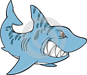 Shark Vector Illustration