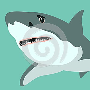 Shark vector illustration flat style profile view