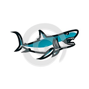 Shark vector illustration. Shark minimalist vector design with white background