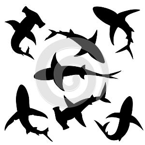 Shark vector silhouettes photo