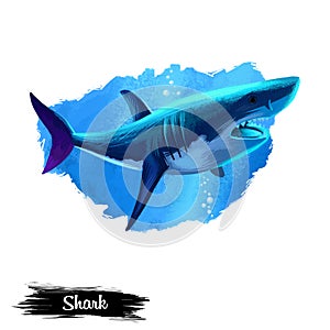 Shark in water realistic design isolated on white background digital art illustration. Underwater dangerous fish, marine predator