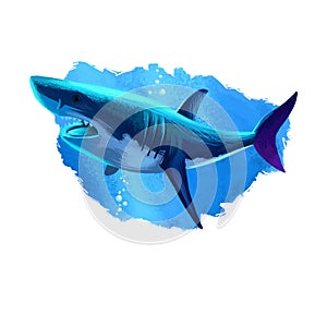Shark in water realistic design isolated on white background digital art illustration. Underwater dangerous fish, marine predator