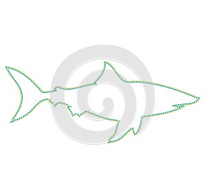 Shark on the white background swimming