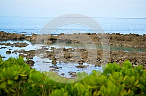 Sharks Cove, Oahu HI