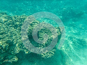 Sharks cove snorkeling in oahu hawaii north shore