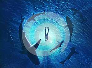 sharks forming a circle under a man in water