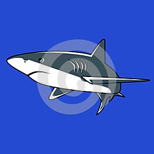 Sharks are a group of elasmobranch fish characterized