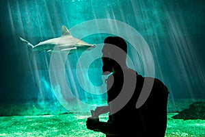 A visitor is looking at a huge shark in his own tank in the local Aquarium - blue environment. Attack, animal. photo