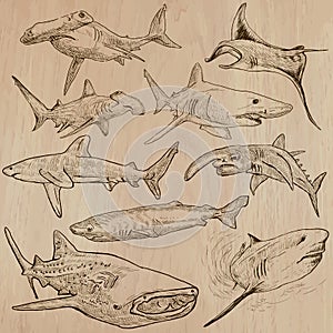 Sharks - An hand drawn pack