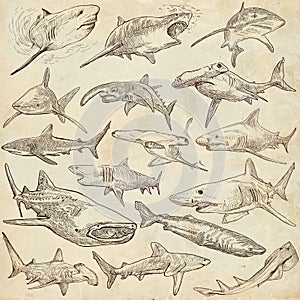 Sharks - An hand drawn pack. Freehand sketching, originals.