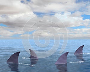 Tiburones tiburón aleta el mar Océano 