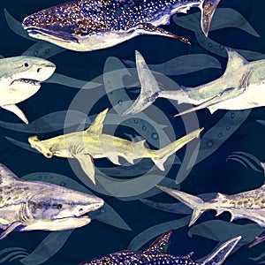 Sharks variety: Blue, Tiger, Whale and Hammerhead, hand painted watercolor illustration, seamless pattern on dark blue