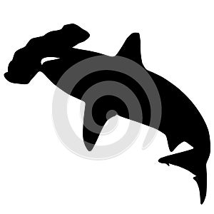 Sharks vector eps illustration by crafteroks