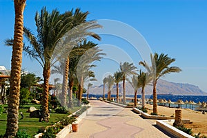 Sharm el sheikh