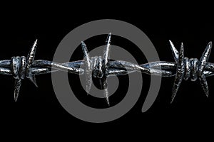 Sharp Barbed Wire Strand Symbolizing Boundaries