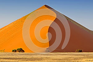 Sharp border of light and shadow over the crest of the dune at sunrise at Sossusvlei Namib Desert, Namib Naukluft National Park of